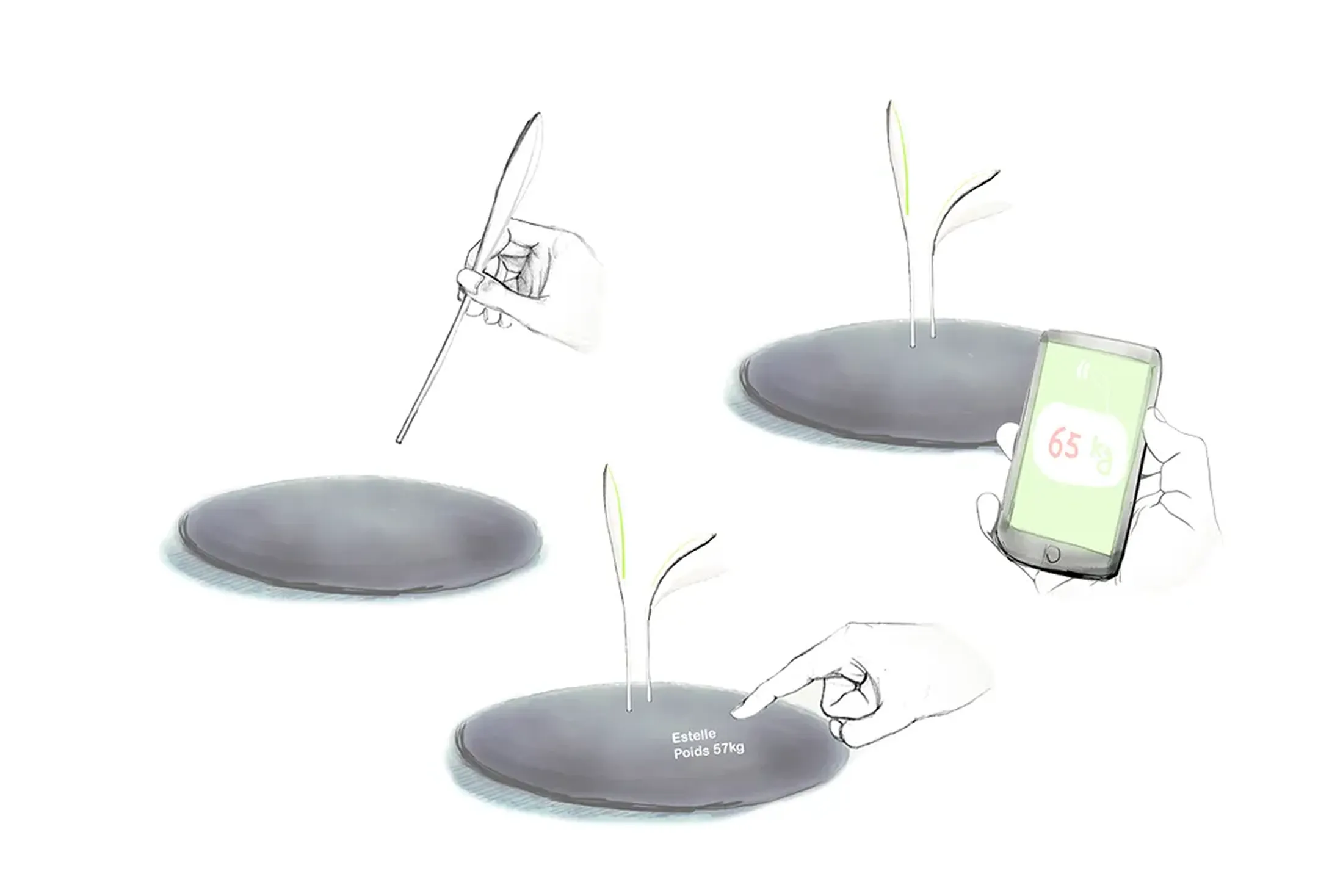 Rozo — UX, parcours et wireframes